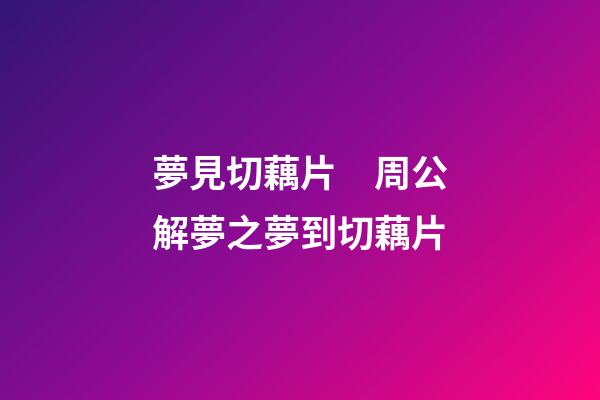 夢見切藕片　周公解夢之夢到切藕片